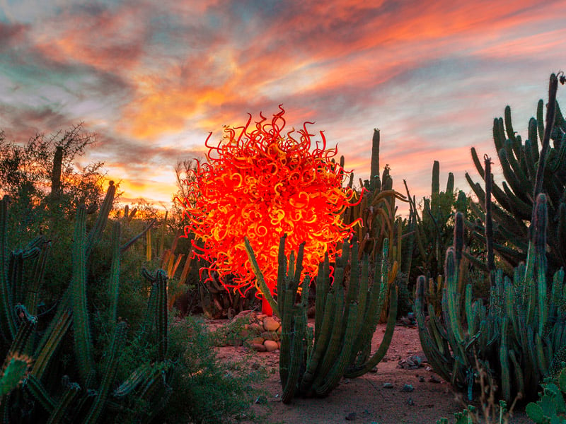 DBG_Chihuly-Header