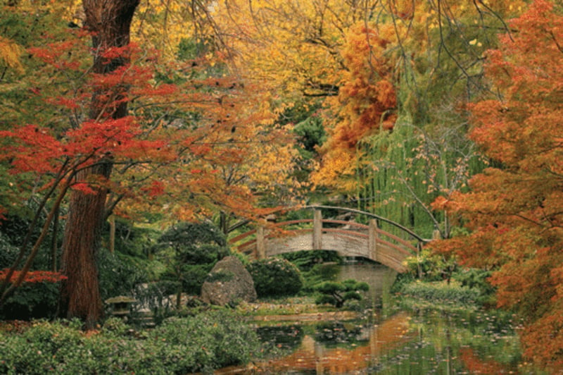 Golden-Moon-Bridge--Botanic-Gardens