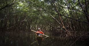 Naples, kayaking