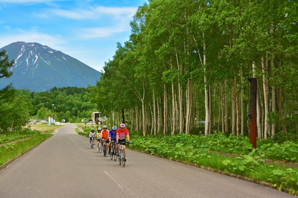 niseko road-cycling summer activities japan