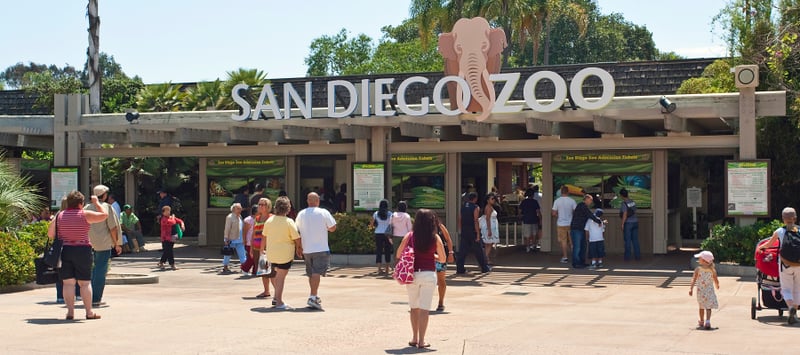 sandiegozoo