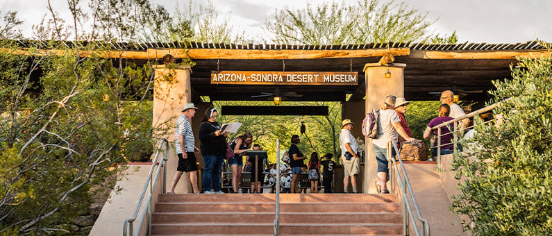 sonorandesertmuseum