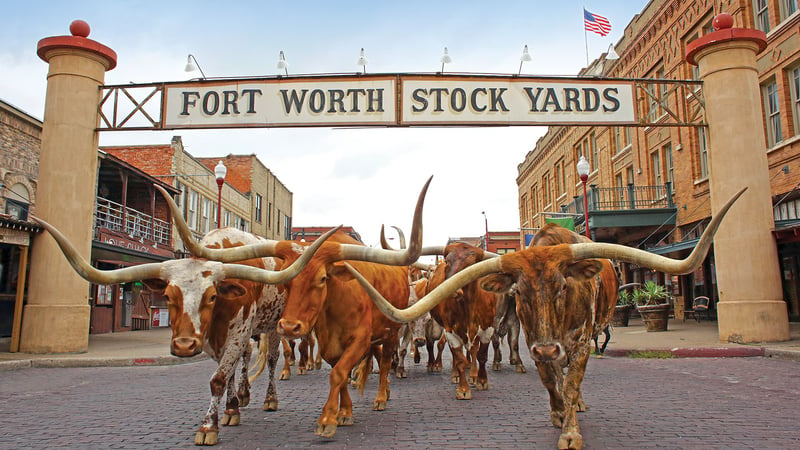 stockyards 