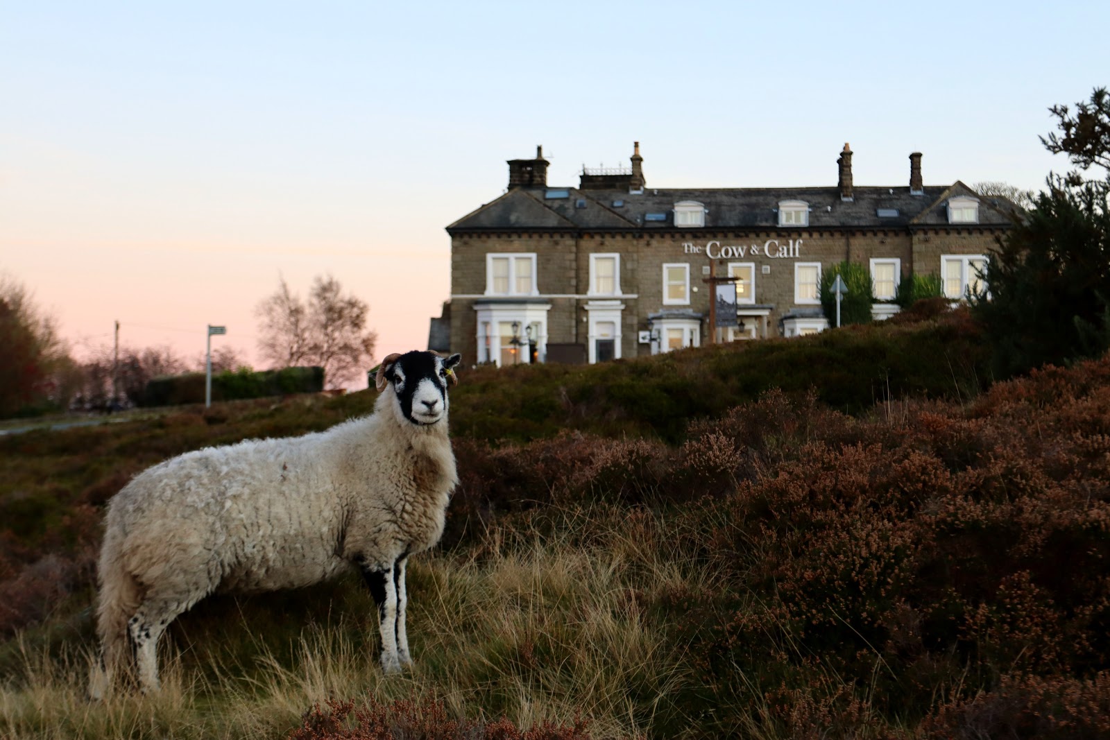 Leeds - Ilkley Moor