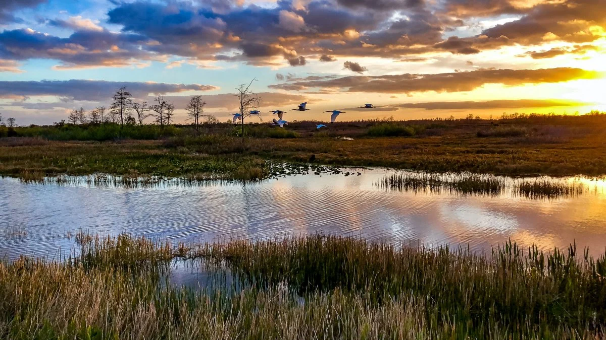 everglades-national-park_h